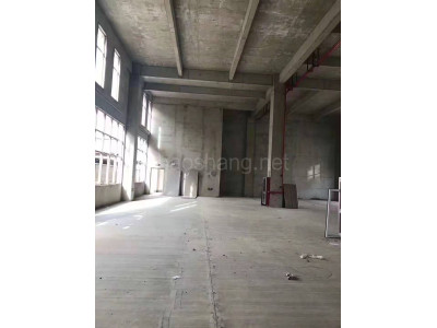邢台厂房出租邢台市柏乡县3025平米厂房出售丨政策优越
