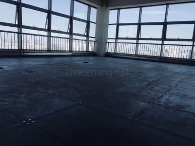 南京软件谷50-2000㎡可租售，政府政策