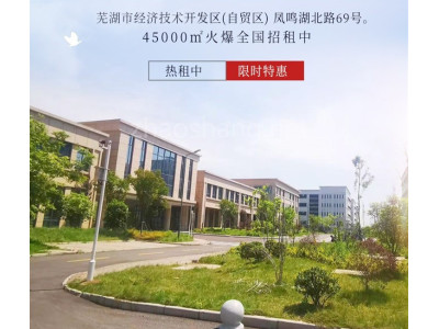 鸠江区厂房出租芜湖鸠江经开区45000平厂房出租  交通便捷 配套完善