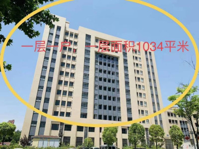 合肥瑶海区2000平米厂房出售 环境好