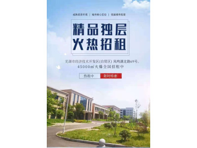 弋江区厂房出租安徽省芜湖市鸠江经开区45000平米工厂出租 交通便捷 配套完善