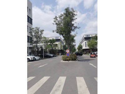 寒亭区厂房出售潍坊寒亭区730平米厂房出售 配套齐全 政府扶持