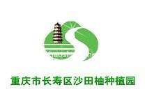 重庆市长寿区沙田柚种植园