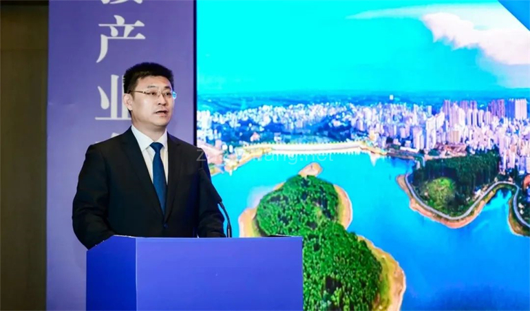 一场推介会,让全球重新认识这座“潜力之城” 一场推介会,让全球重新认识这座“潜力之城”