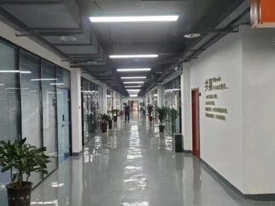 政府产权免租期政策出租配套齐全，面积选择性大