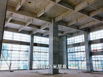 乐山厂房出售租厂房不是长久之计 购置园区厂房 独立产权厂房